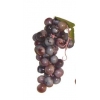 Виноград гроздь L 19см, резина темный